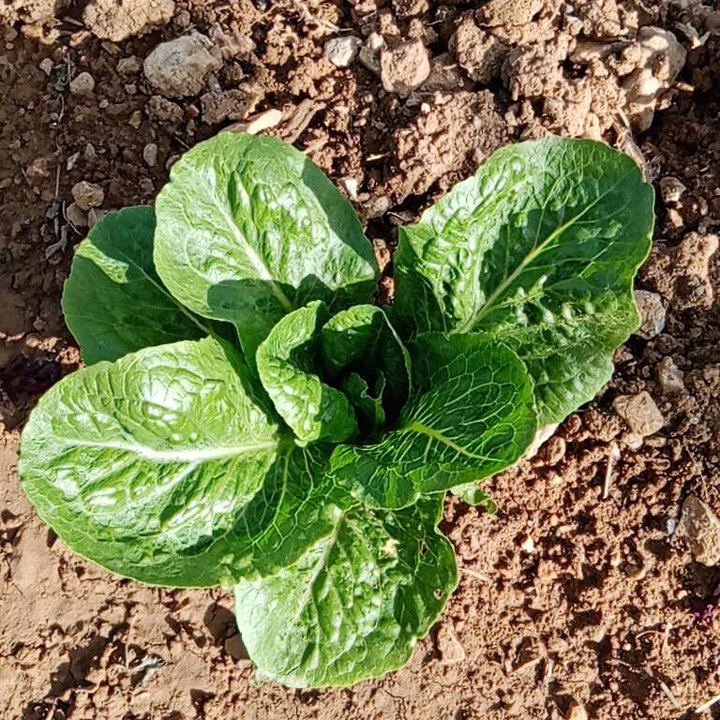 My Crowdsourcing Posts