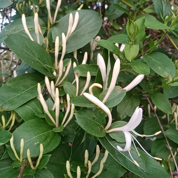 My Crowdsourcing Posts