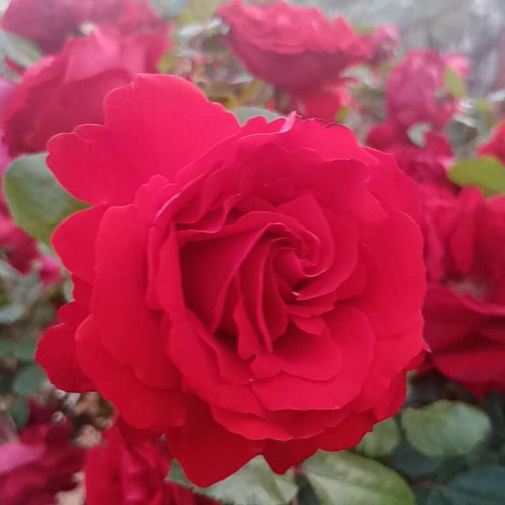 My Crowdsourcing Posts