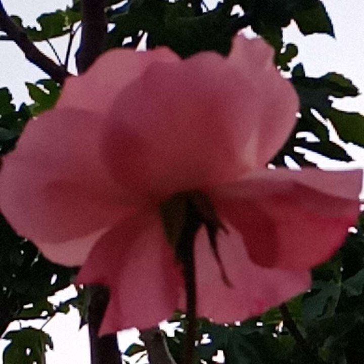 My Crowdsourcing Posts