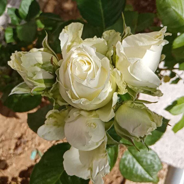 My Crowdsourcing Posts