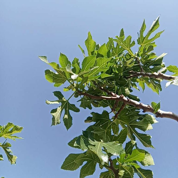 My Crowdsourcing Posts