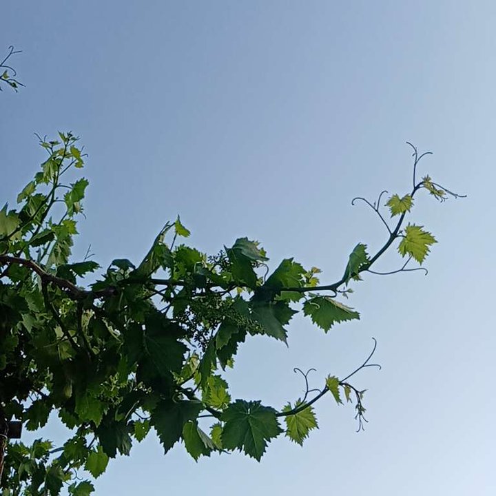 My Crowdsourcing Posts