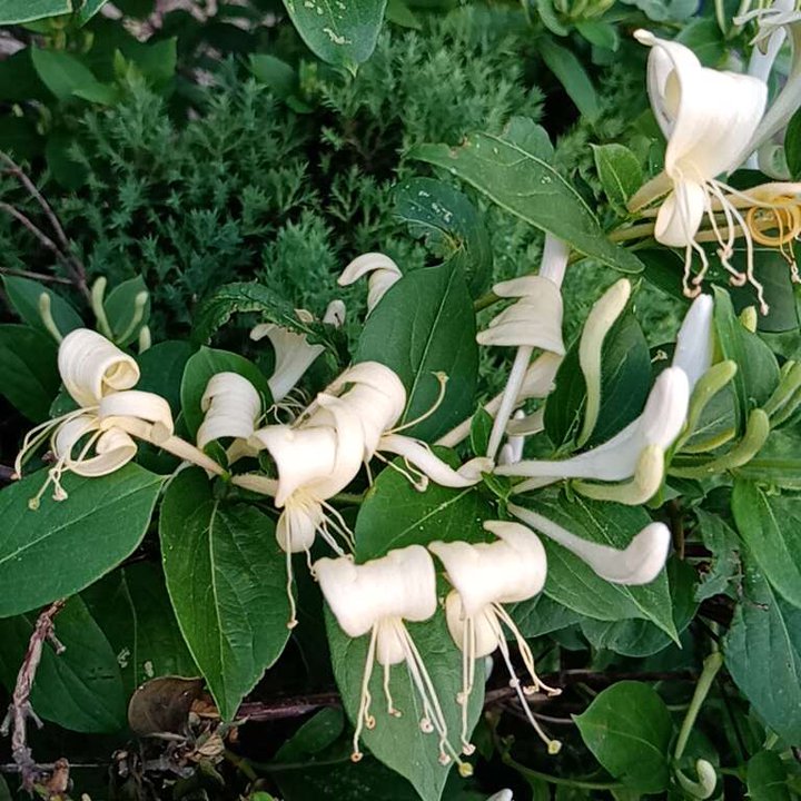 My Crowdsourcing Posts