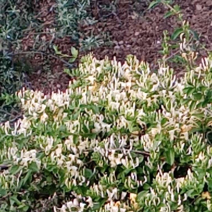 My Crowdsourcing Posts