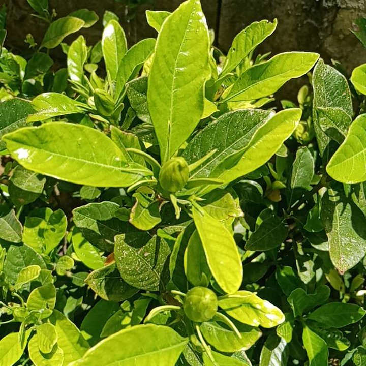 My Crowdsourcing Posts