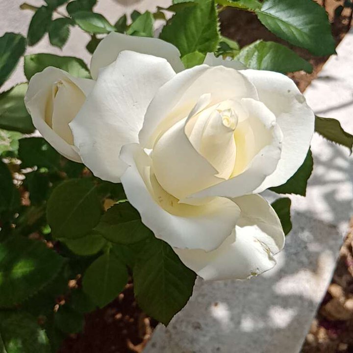 My Crowdsourcing Posts