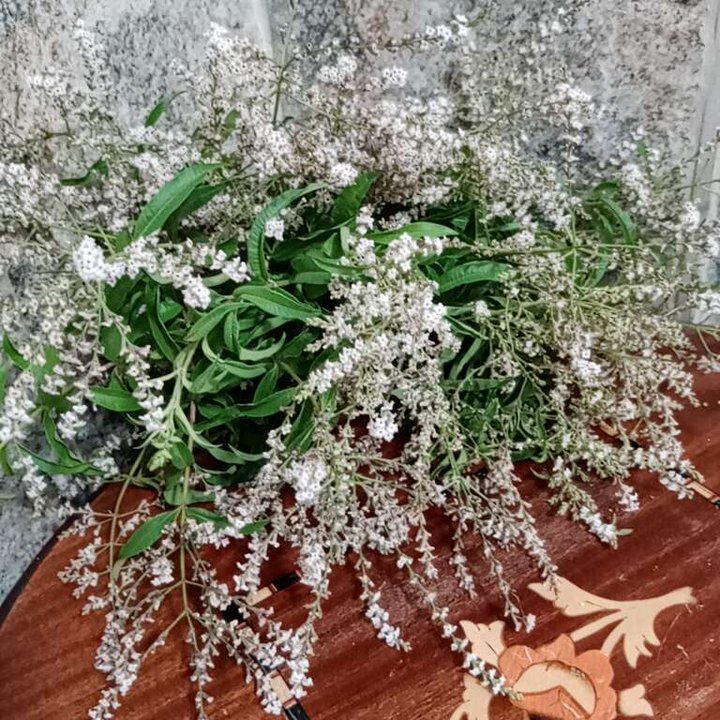 My Crowdsourcing Posts