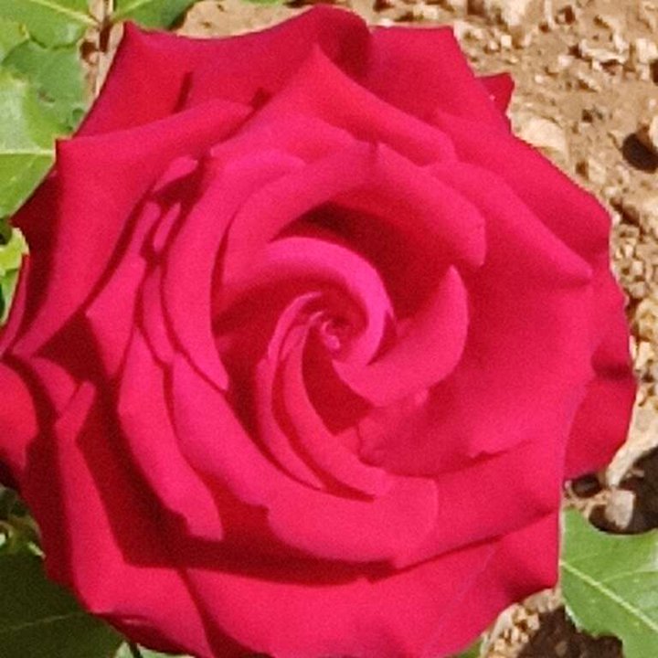 My Crowdsourcing Posts