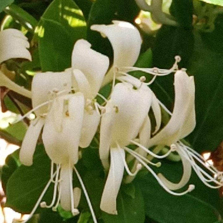 My Crowdsourcing Posts