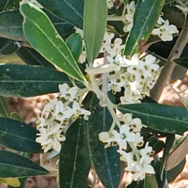 My Crowdsourcing Posts