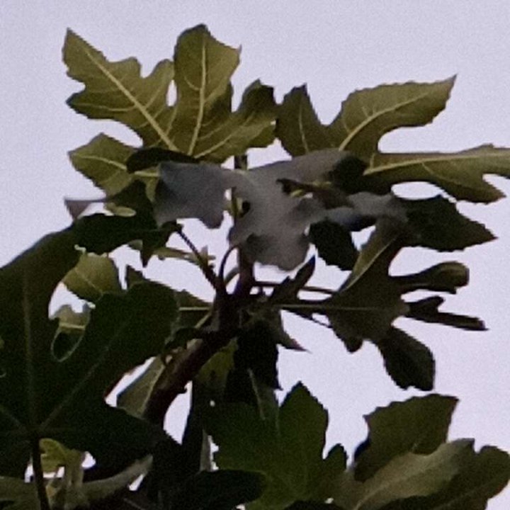 My Crowdsourcing Posts