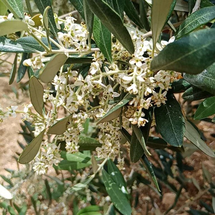 My Crowdsourcing Posts