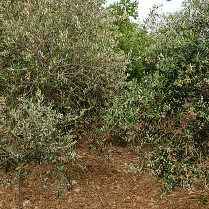 My Crowdsourcing Posts