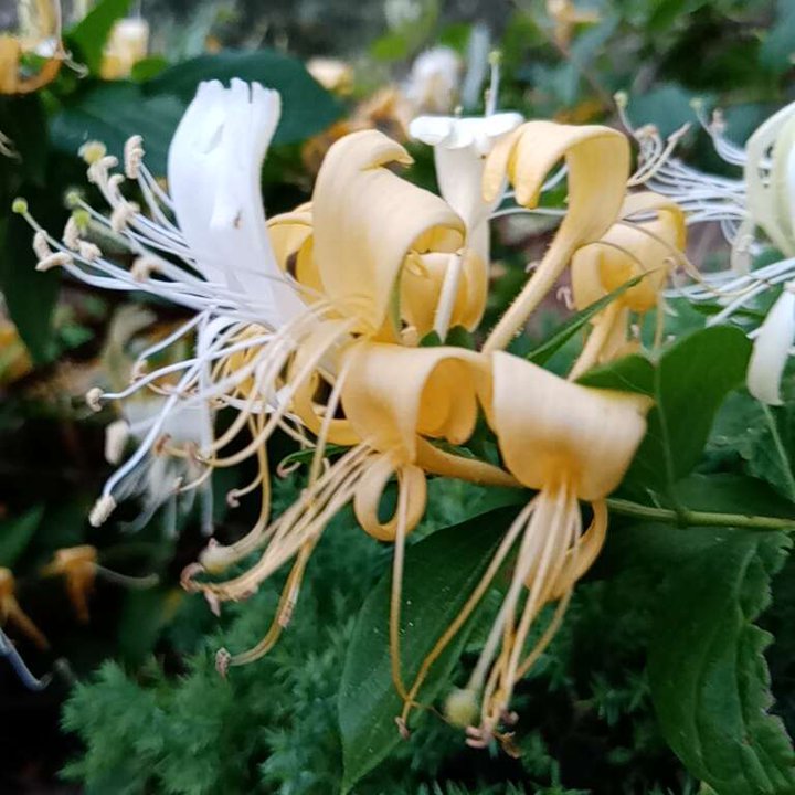 My Crowdsourcing Posts