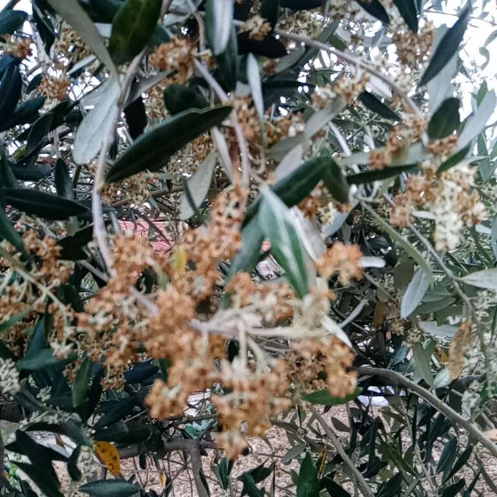 My Crowdsourcing Posts