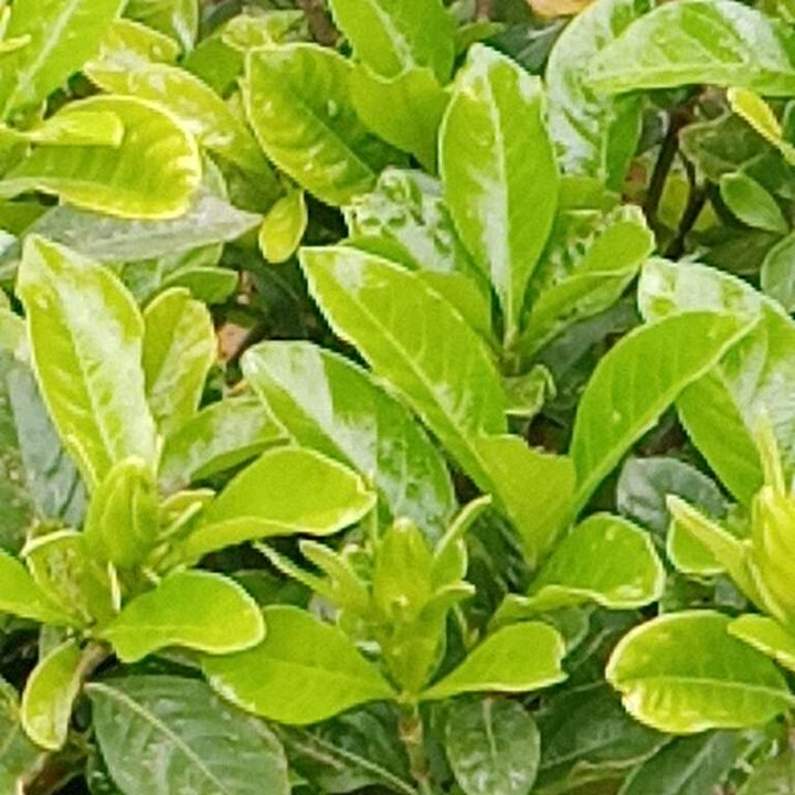 My Crowdsourcing Posts