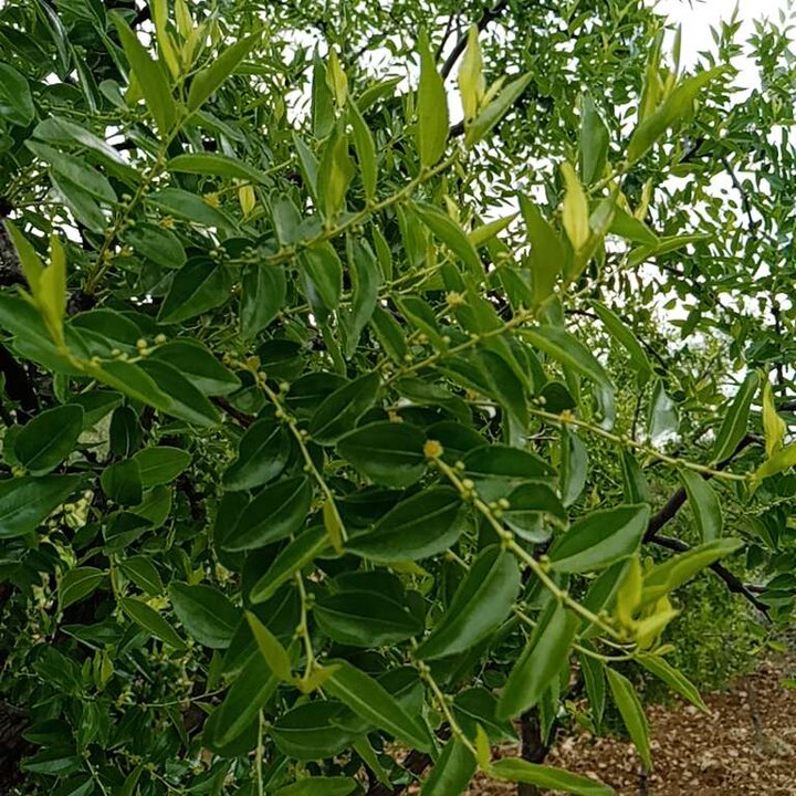 My Crowdsourcing Posts