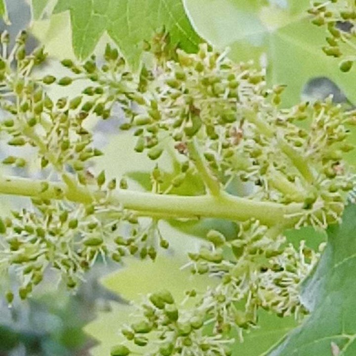 My Crowdsourcing Posts