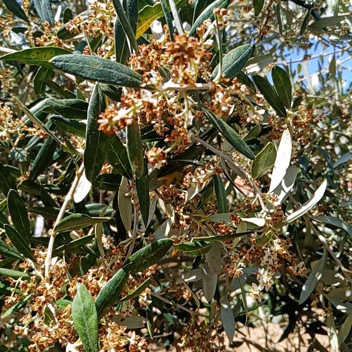 My Crowdsourcing Posts