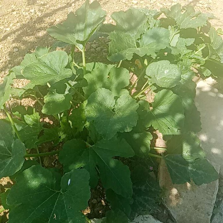 My Crowdsourcing Posts