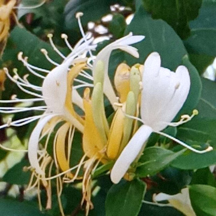 My Crowdsourcing Posts