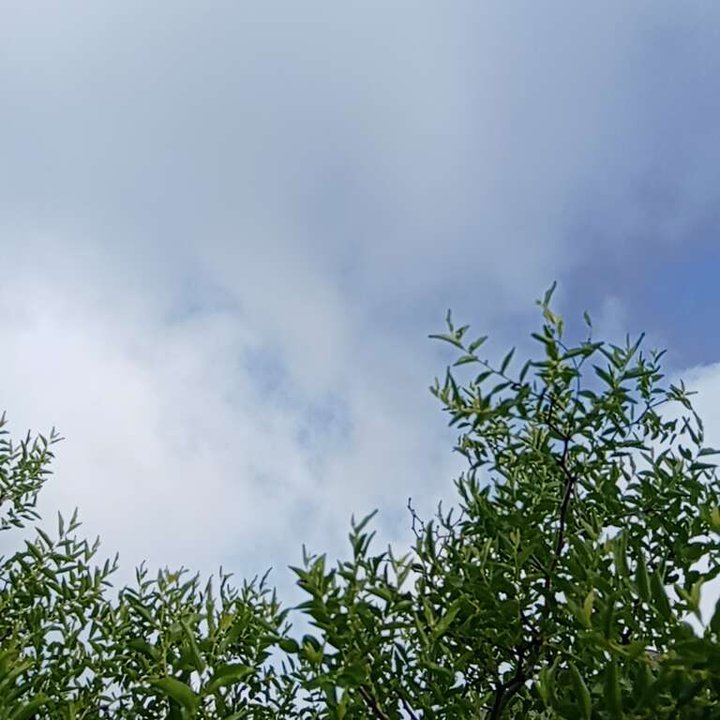 My Crowdsourcing Posts