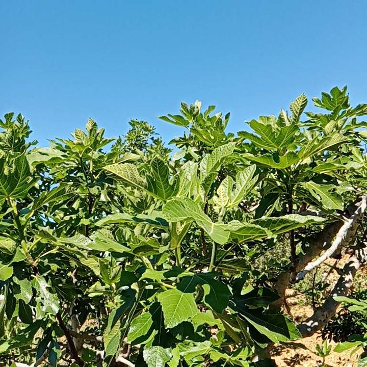 My Crowdsourcing Posts