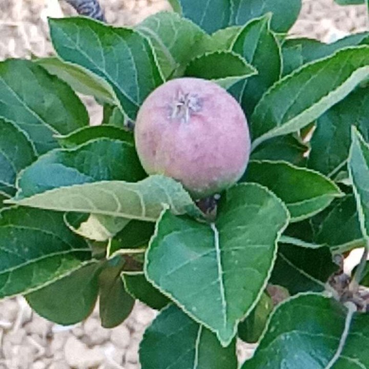 My Crowdsourcing Posts