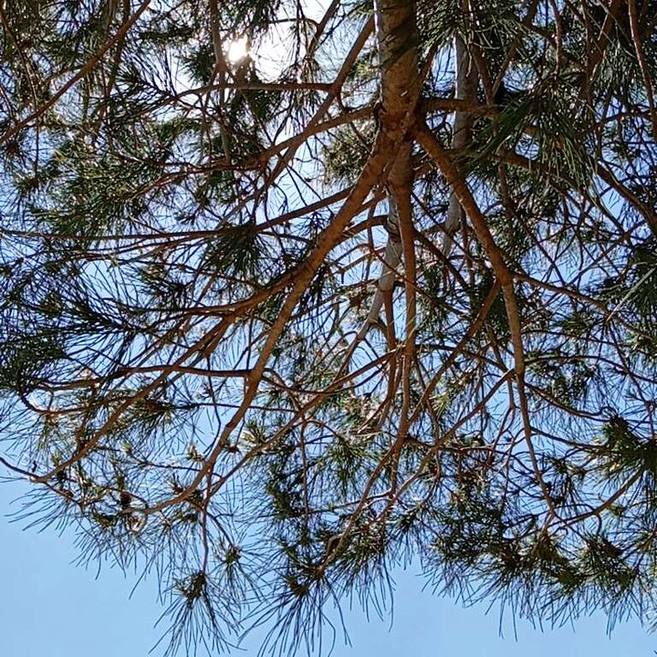 My Crowdsourcing Posts