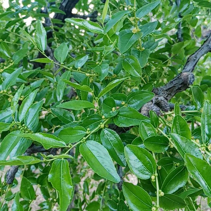 My Crowdsourcing Posts