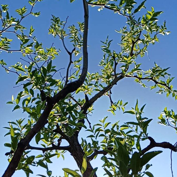 My Crowdsourcing Posts