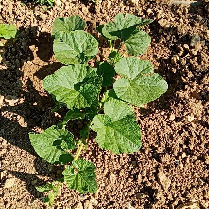 My Crowdsourcing Posts