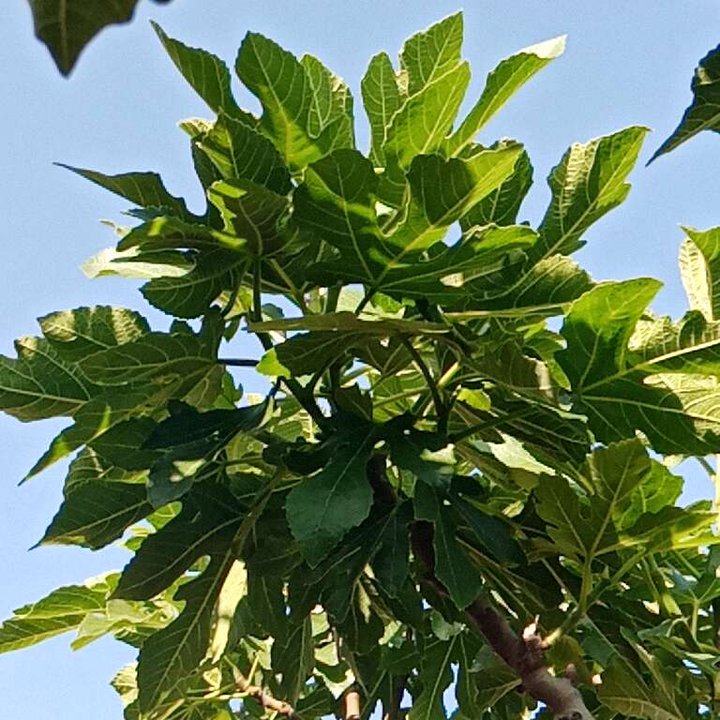 My Crowdsourcing Posts