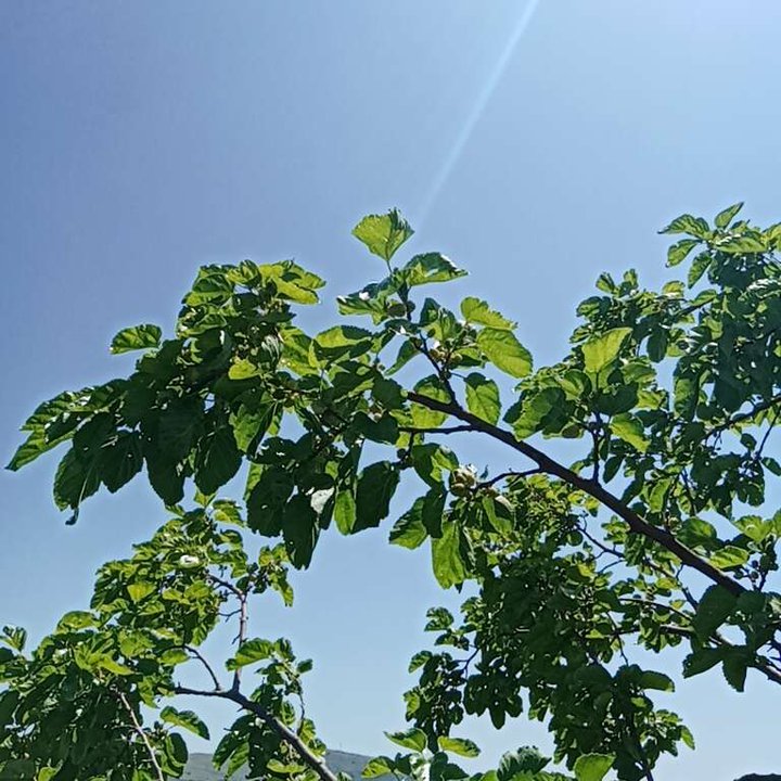 My Crowdsourcing Posts