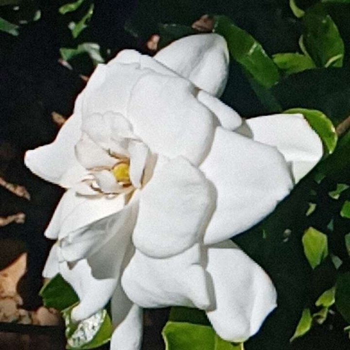 My Crowdsourcing Posts