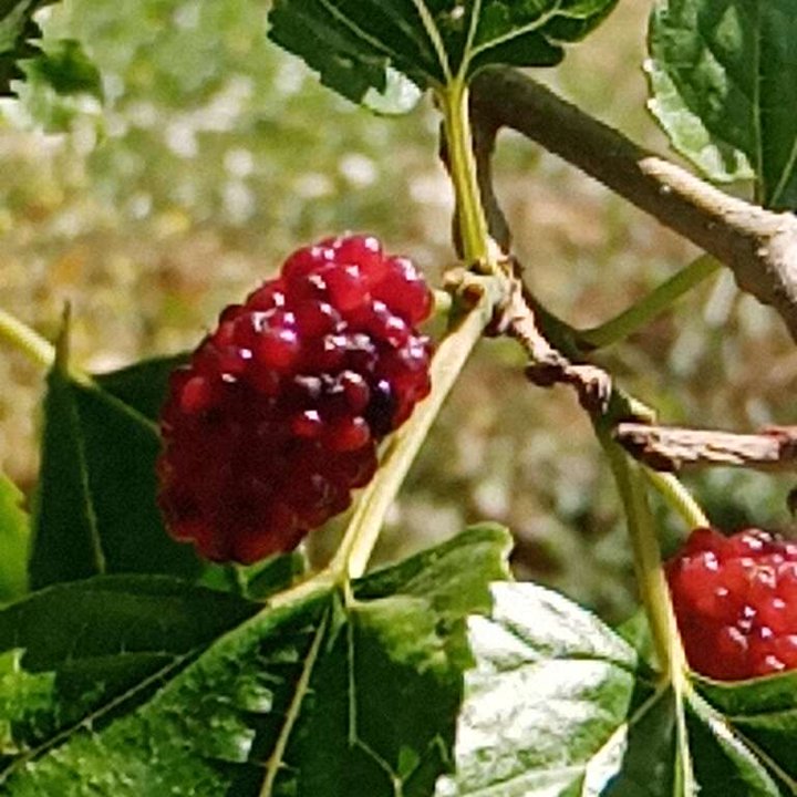 My Crowdsourcing Posts