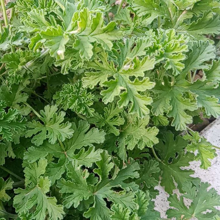 My Crowdsourcing Posts