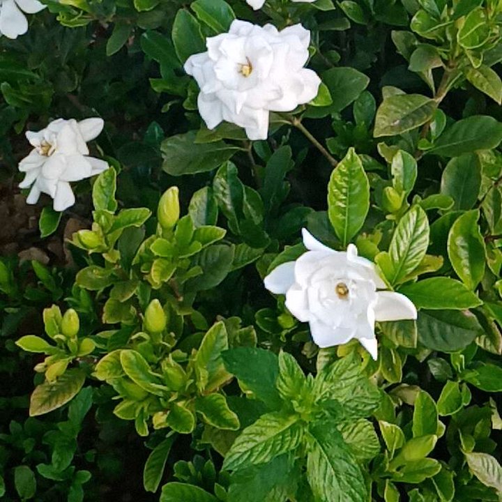 My Crowdsourcing Posts