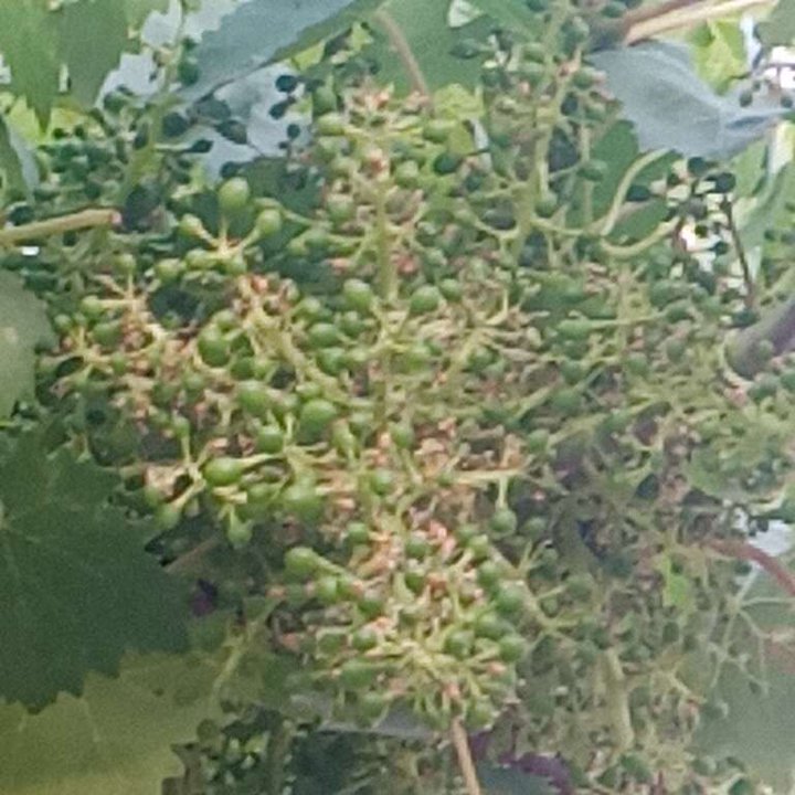 My Crowdsourcing Posts