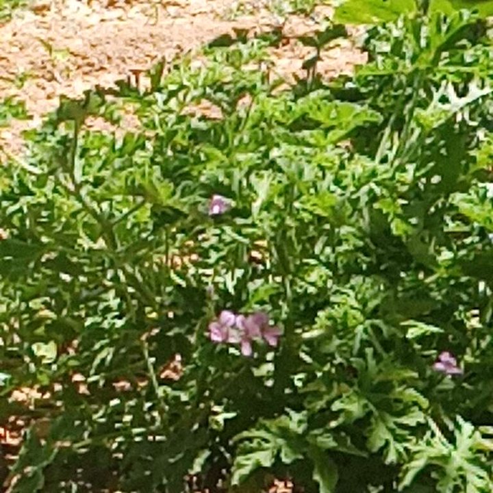 My Crowdsourcing Posts