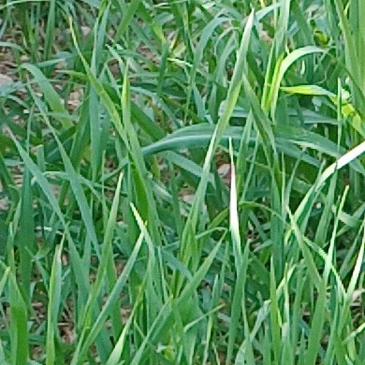 My Crowdsourcing Posts