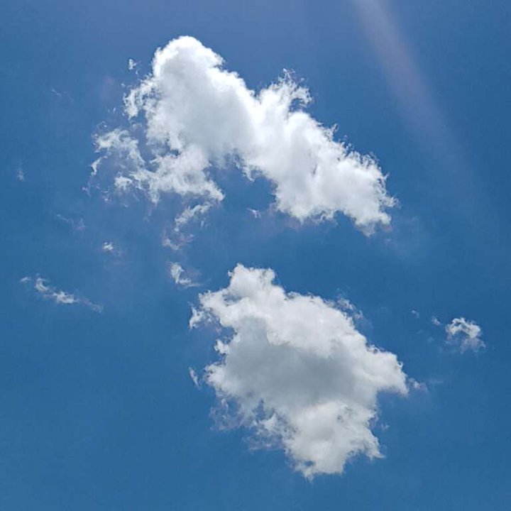 مشاركاتي في أنت الراصد