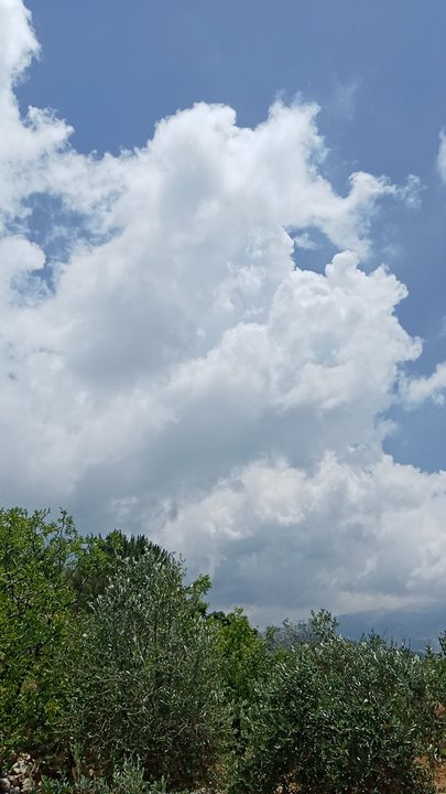 مشاركاتي في أنت الراصد