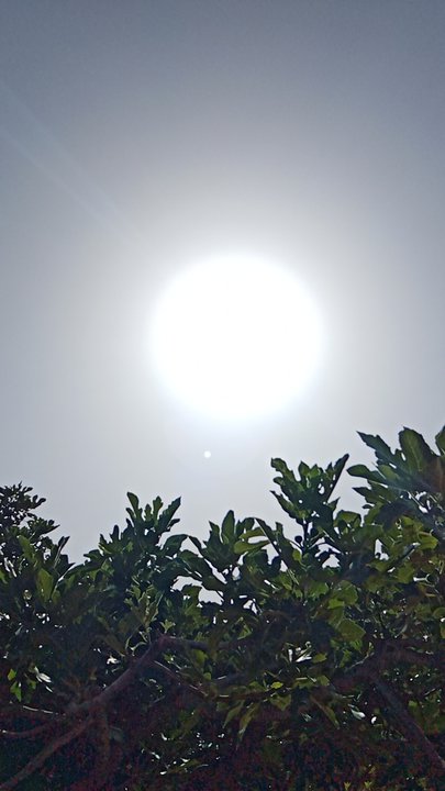 مشاركاتي في أنت الراصد