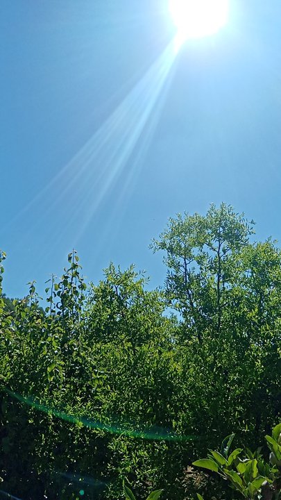 مشاركاتي في أنت الراصد