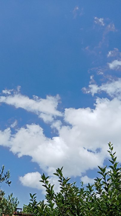 مشاركاتي في أنت الراصد