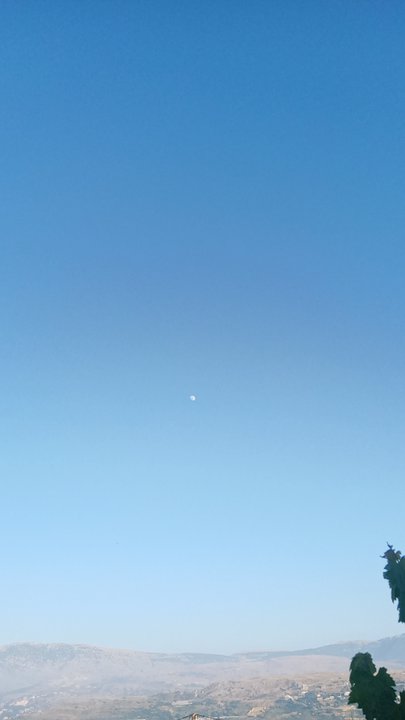 مشاركاتي في أنت الراصد