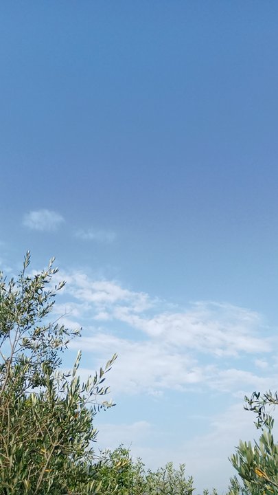 مشاركاتي في أنت الراصد