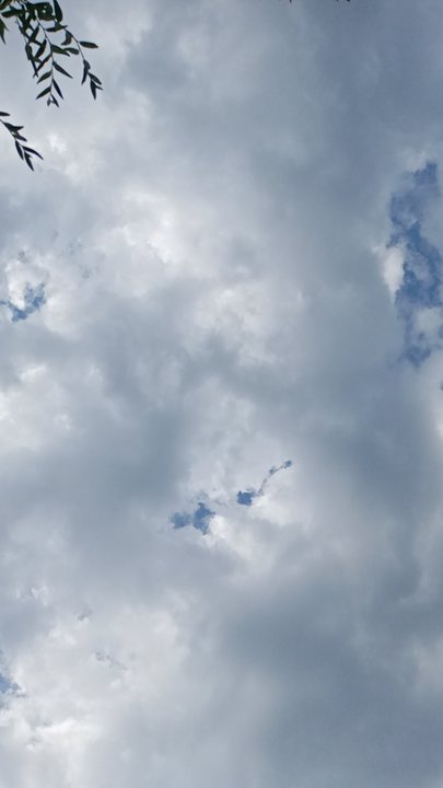 مشاركاتي في أنت الراصد